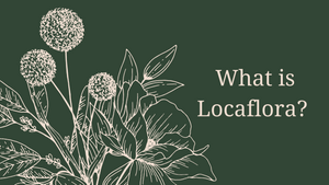 "What is Locaflora?"