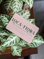 Physical Gift Card | LOCAFLORA