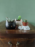 Concrete Cat Planter | Hand-painted with Gold Details