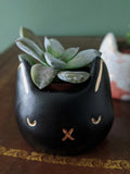 Concrete Cat Planter | Hand-painted with Gold Details