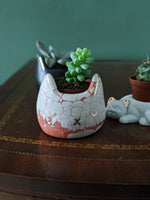 Concrete Cat Planter | Terracotta and White