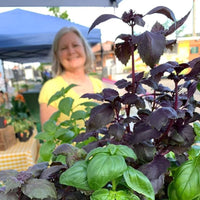 May 20th: Herb Planter Workshop with Blythe Woods, Maggie's Farm Gettysburg